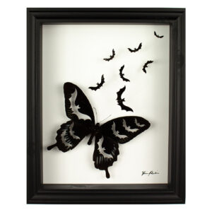 Image of the framed artwork Metamorphosis, taxidermy butterfly cut into and displayed with flying bats