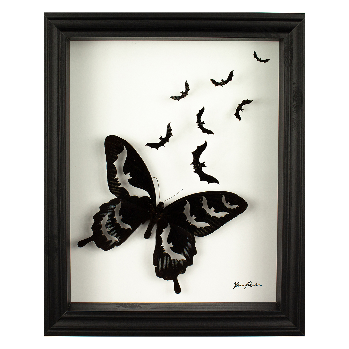 Metamorphosis taxidermy artwork, real butterfly cut into bats
