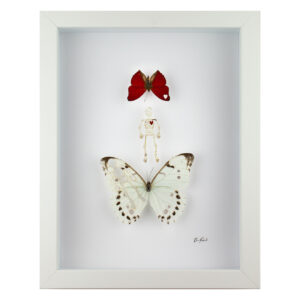 Sphenoid is a taxidermy artwork by Fiona Parkinson, two butterflies with skeleton and red heart cut