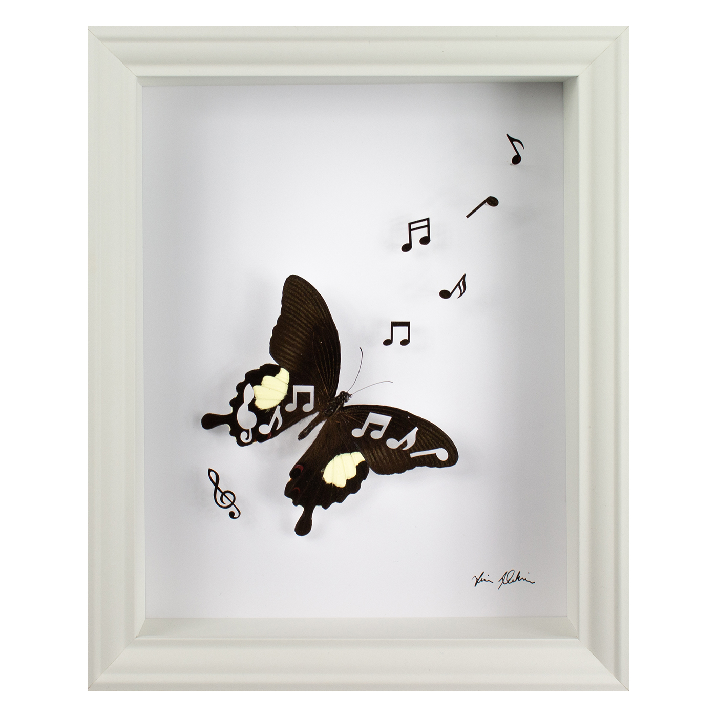 Vanitas 2 is a taxidermy artwork featuring a black butterfly with music note design