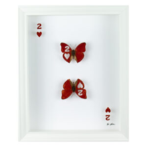 Framed artwork Chance Two, two taxidermy butterflies cut into and displayed as the two of hearts