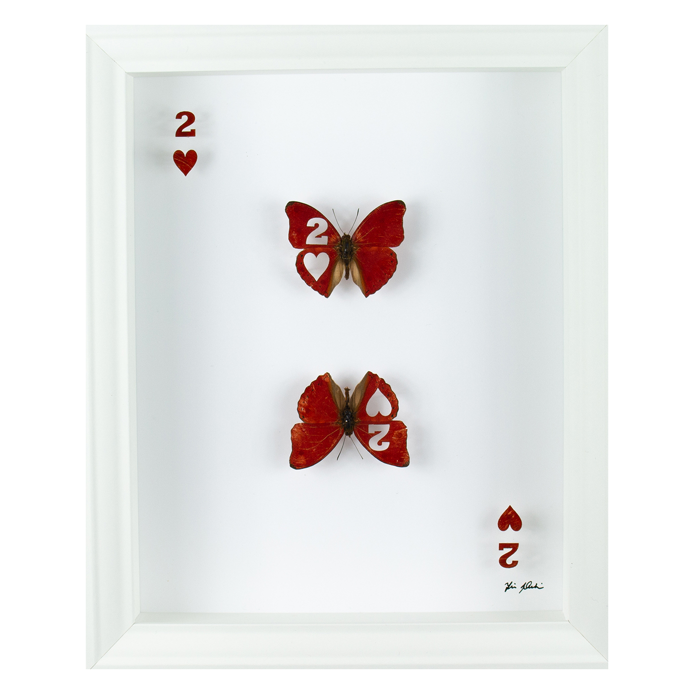 Chance Two taxidermy artwork, real butterfly cut into the Two of Hearts