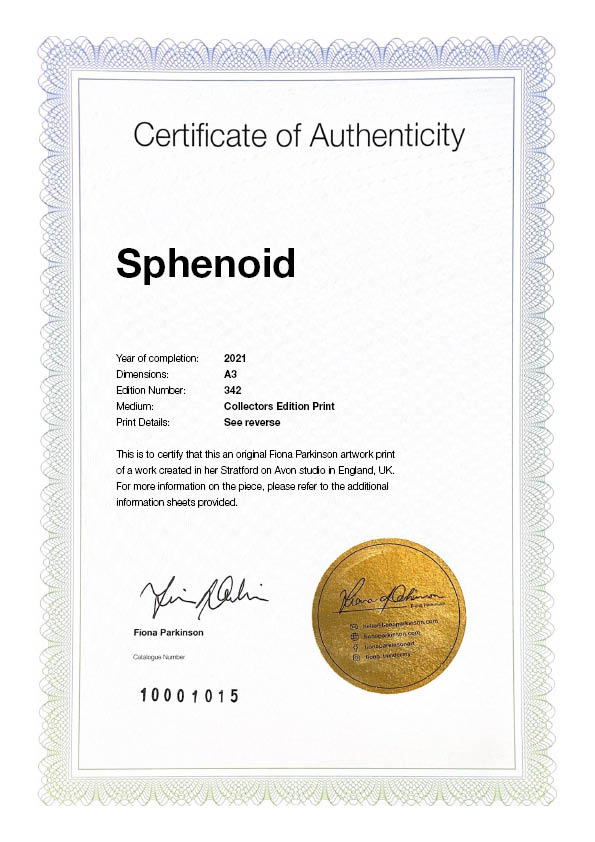 Sphenoid Certificate