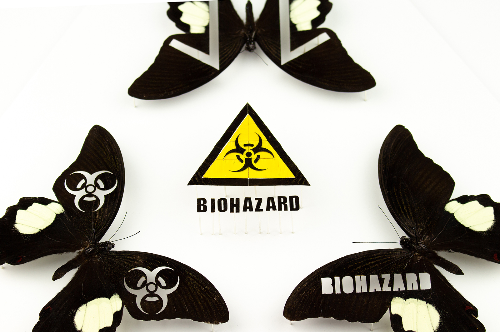 Close-up of Biohazard Artwork by Fiona Parkinson
