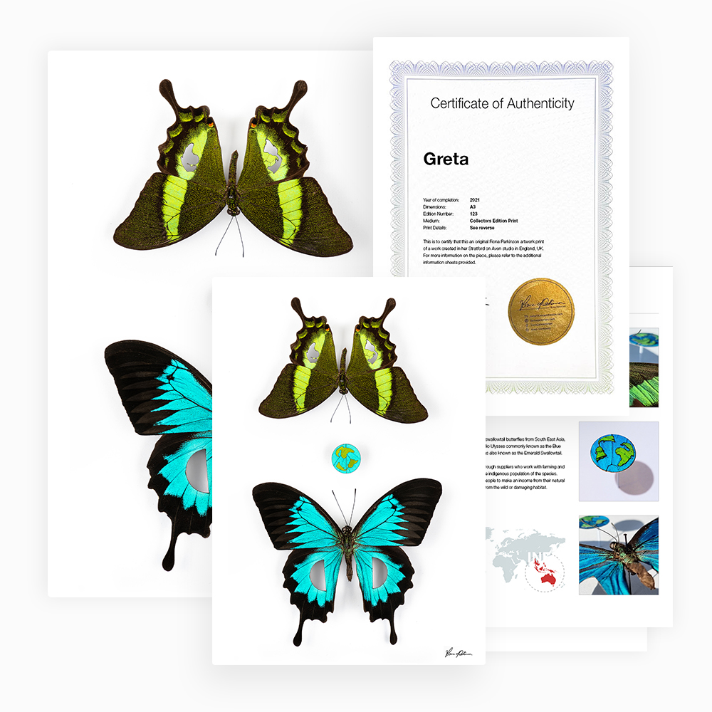 Greta Print Pack Bundle