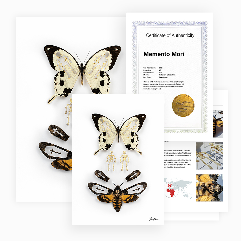 Memento Mori Print Pack Bundle