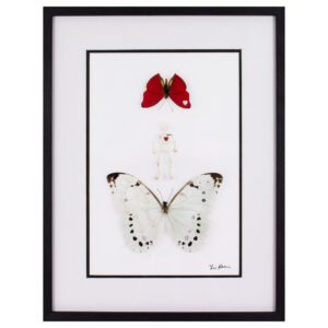 Framed print of Sphenoid by Fiona Parkinson